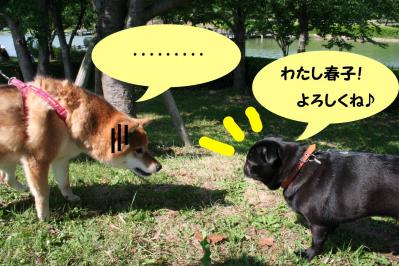 2012052718