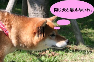 2012052719