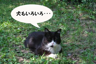 2012052720