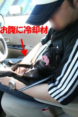 2012052723