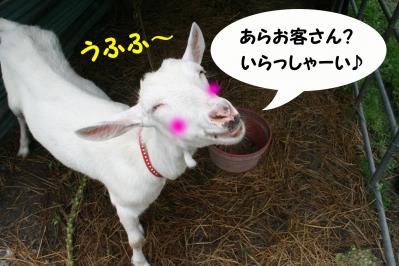 201207012