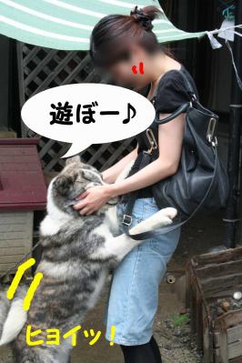 201207017