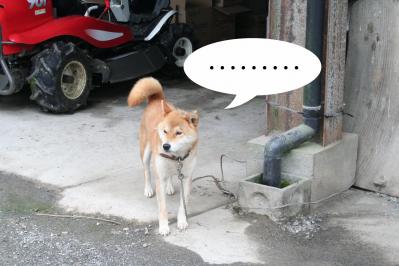 2012070110