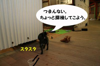 201207053