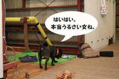 201207054