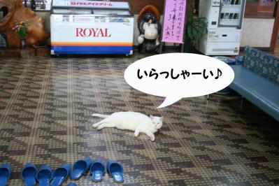 2012071515
