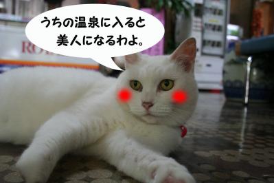 2012071516