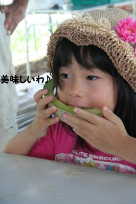 2012071623