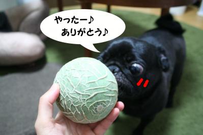 2012071629