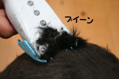201207223