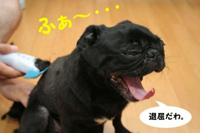 201207224