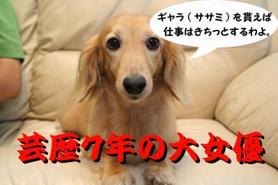 2012072210