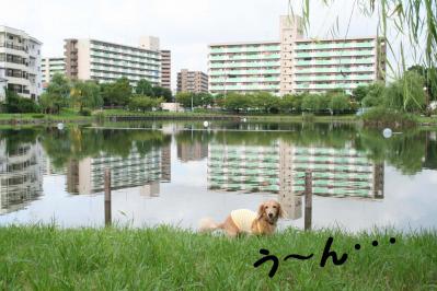 201209101