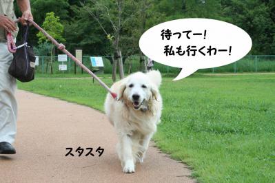 201209104