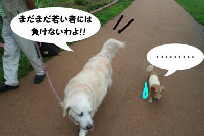 201209105