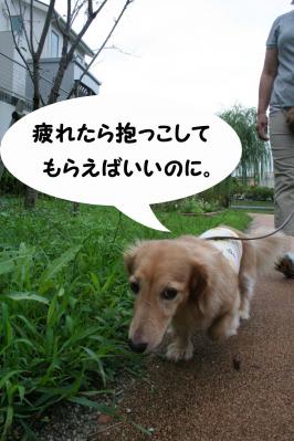 2012091011