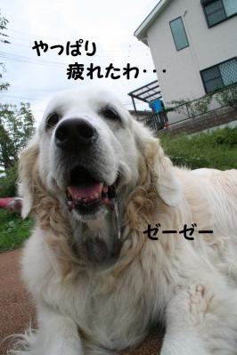 201209106