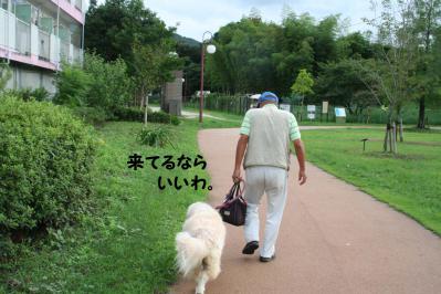 201209109
