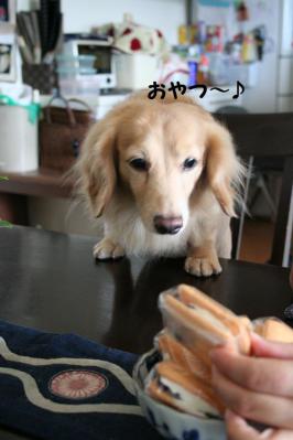 201209211
