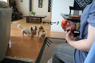 201209214