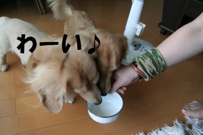2012092111