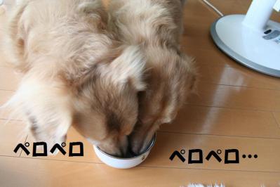 2012092113