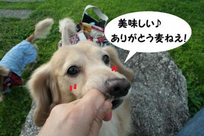 2012092118