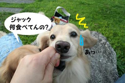 2012092119