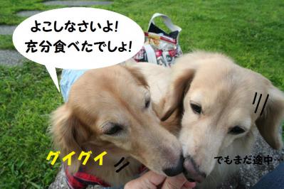 2012092120