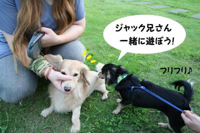 2012092123