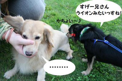 2012092124