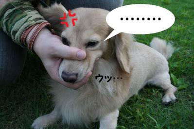 2012092125
