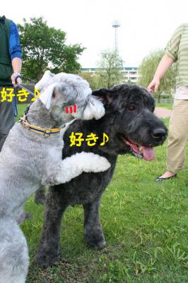 2012092128