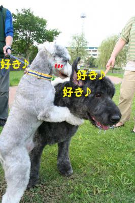 2012092129
