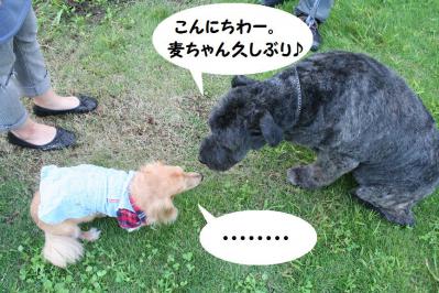 2012092134