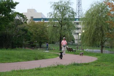 2012092136