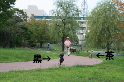 2012092137