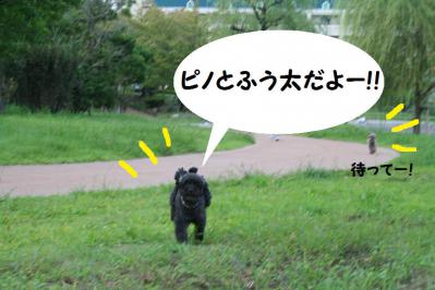 2012092138