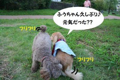 2012092139