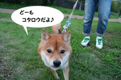 2012092140