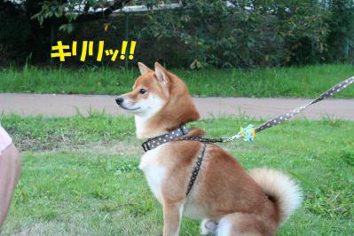 2012092141