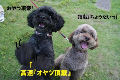 2012092145
