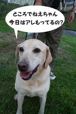 2012092147