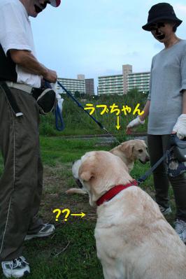 2012092149