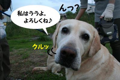 2012092150