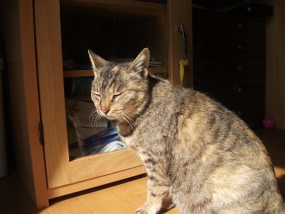 DSCF3849.jpg