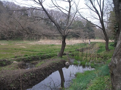 DSCF3879.jpg