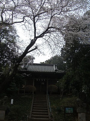 DSCF3883.jpg
