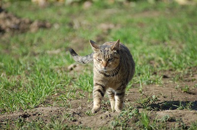 DSC_0448.jpg