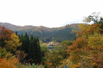 DSC_1387.jpg
